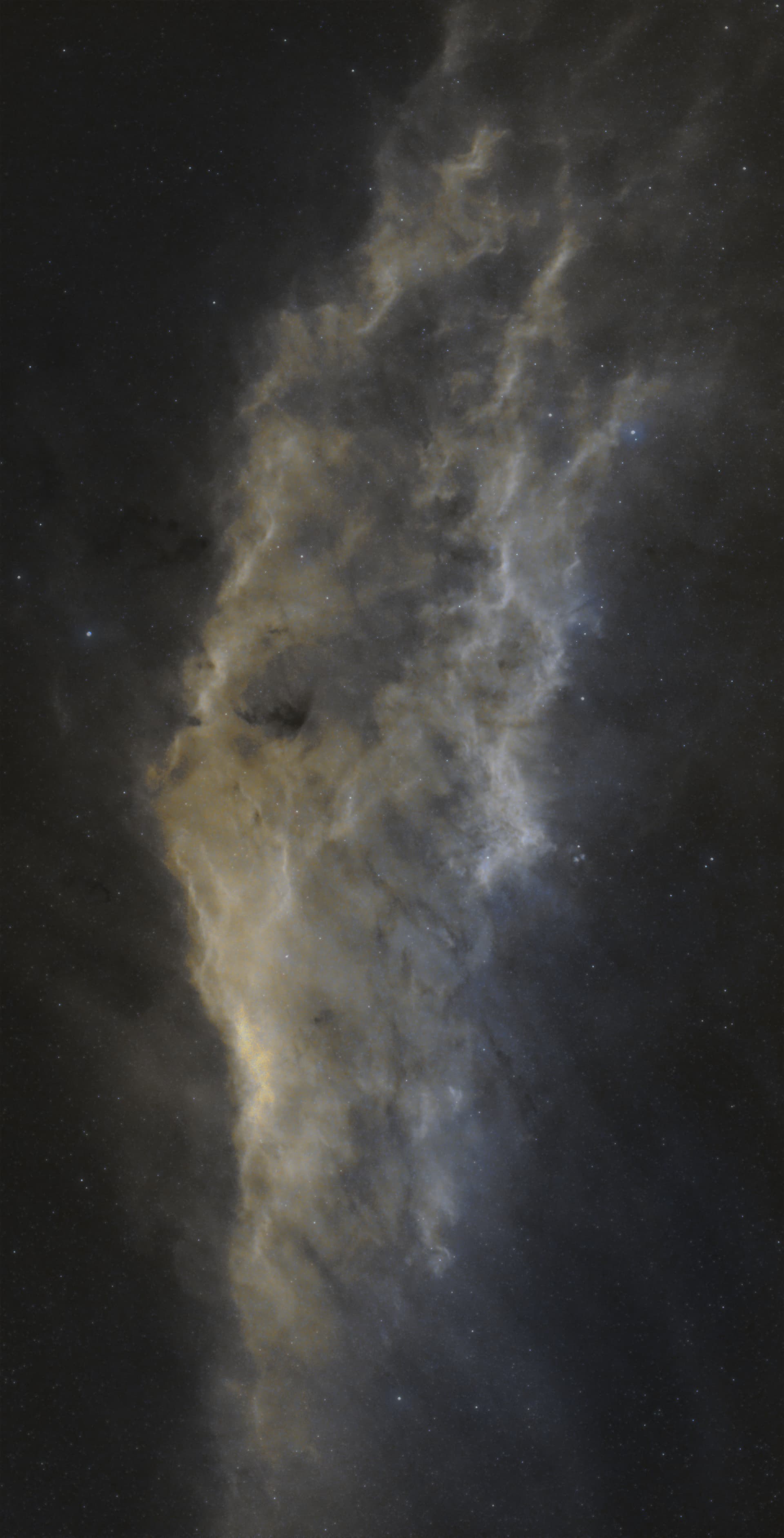 Nébuleuse de la Californie [Mosaique]