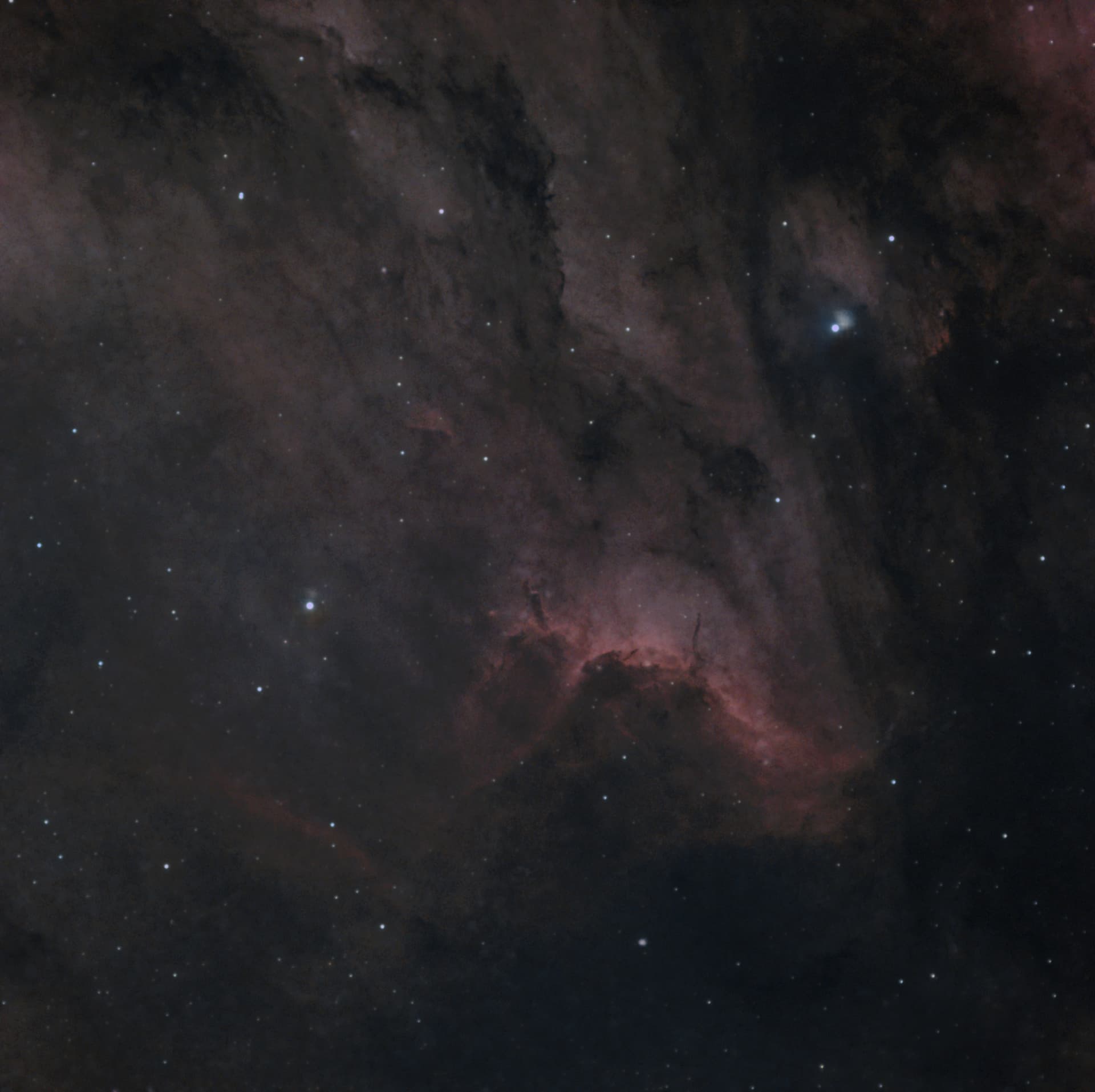 Nébuleuse du pélican