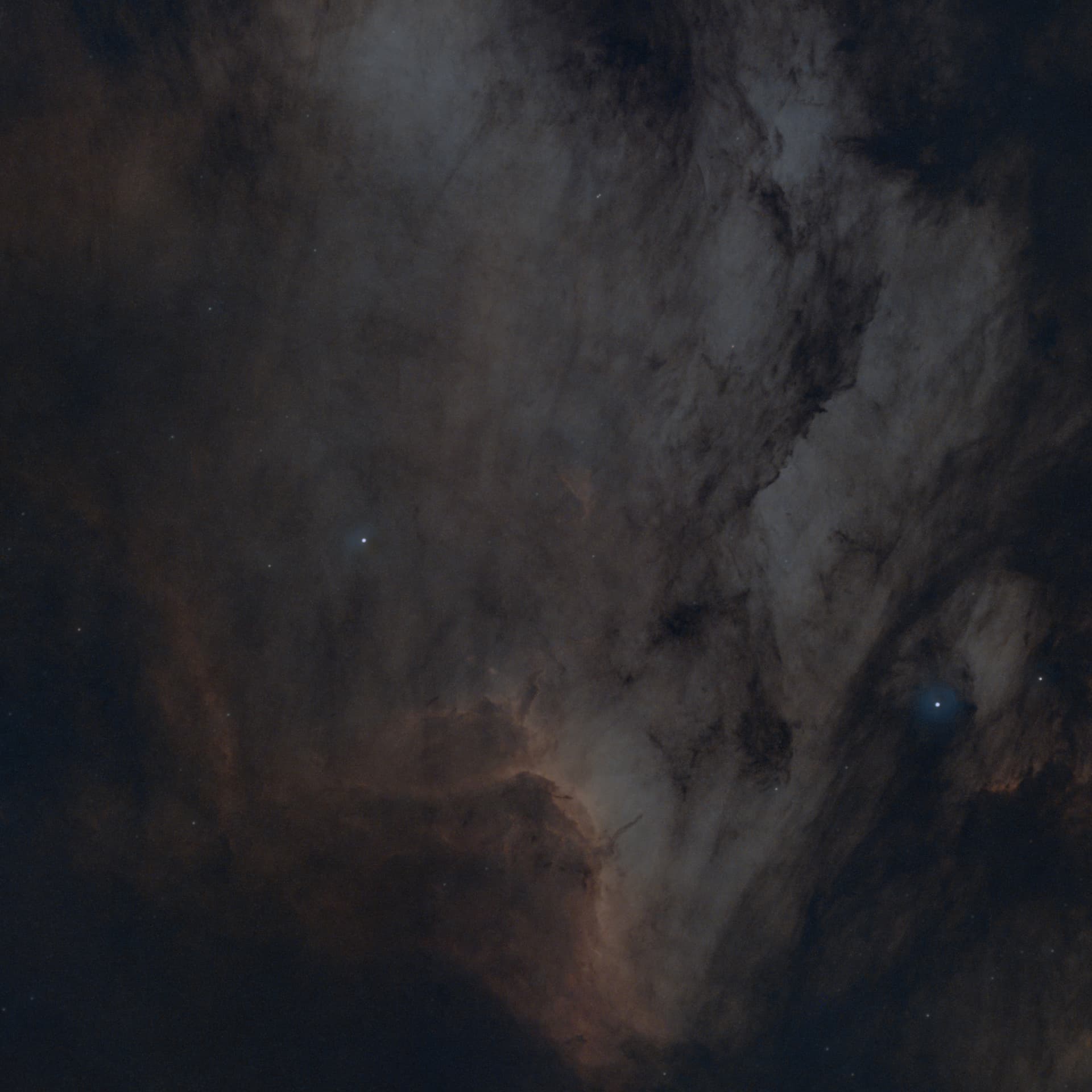 Nébuleuse du pélican